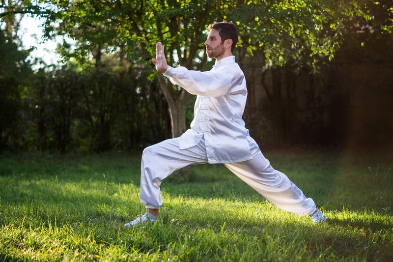 Tai Chi principles